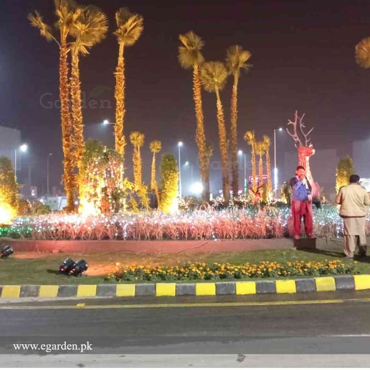 bedian roundabout a govt project design and executed by egarden